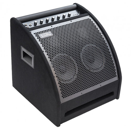 DS200 Монитор для электронной ударной установки, 200Вт, Soundking