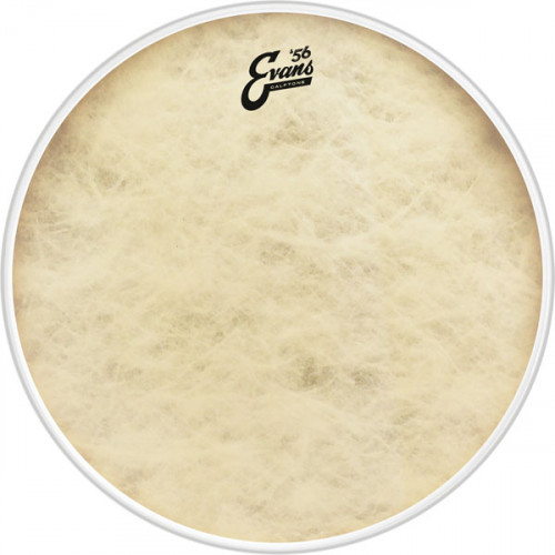 TT16CT Calftone Пластик для том барабана 16", Evans